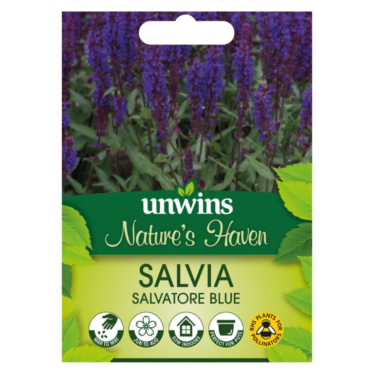 5051618036306 1 NH Salvia Salvatore Blue Seeds.jpg